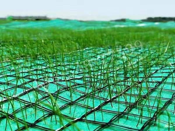 3D柔性格栅：高效防侵蚀与边坡加固解决方案