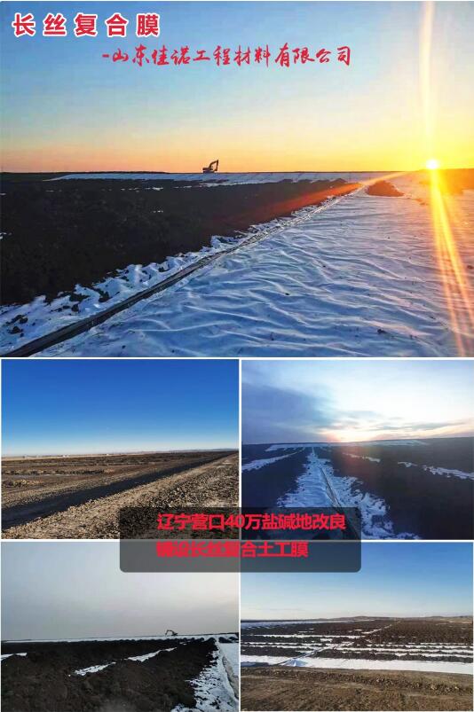 长丝复合膜-辽宁营口盐碱地改良40万㎡(图1) 长丝复合膜-辽宁营口盐碱地改良40万㎡(图1)