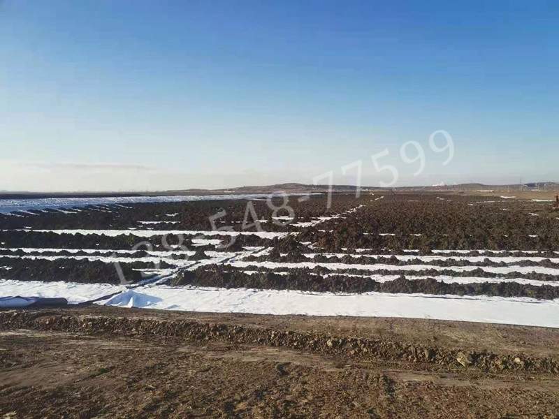 长丝复合膜在辽宁营口盐碱地改良中的应用