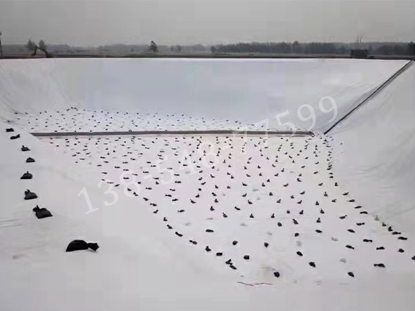 三维复合排水网在交通工程中的关键应用与优势