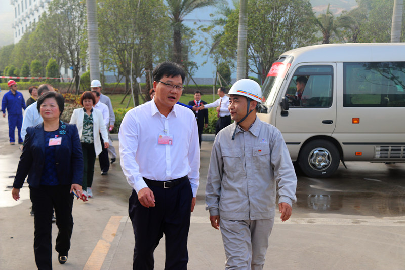 阳春市人大代表政协委员考察广东新兴铸管项目