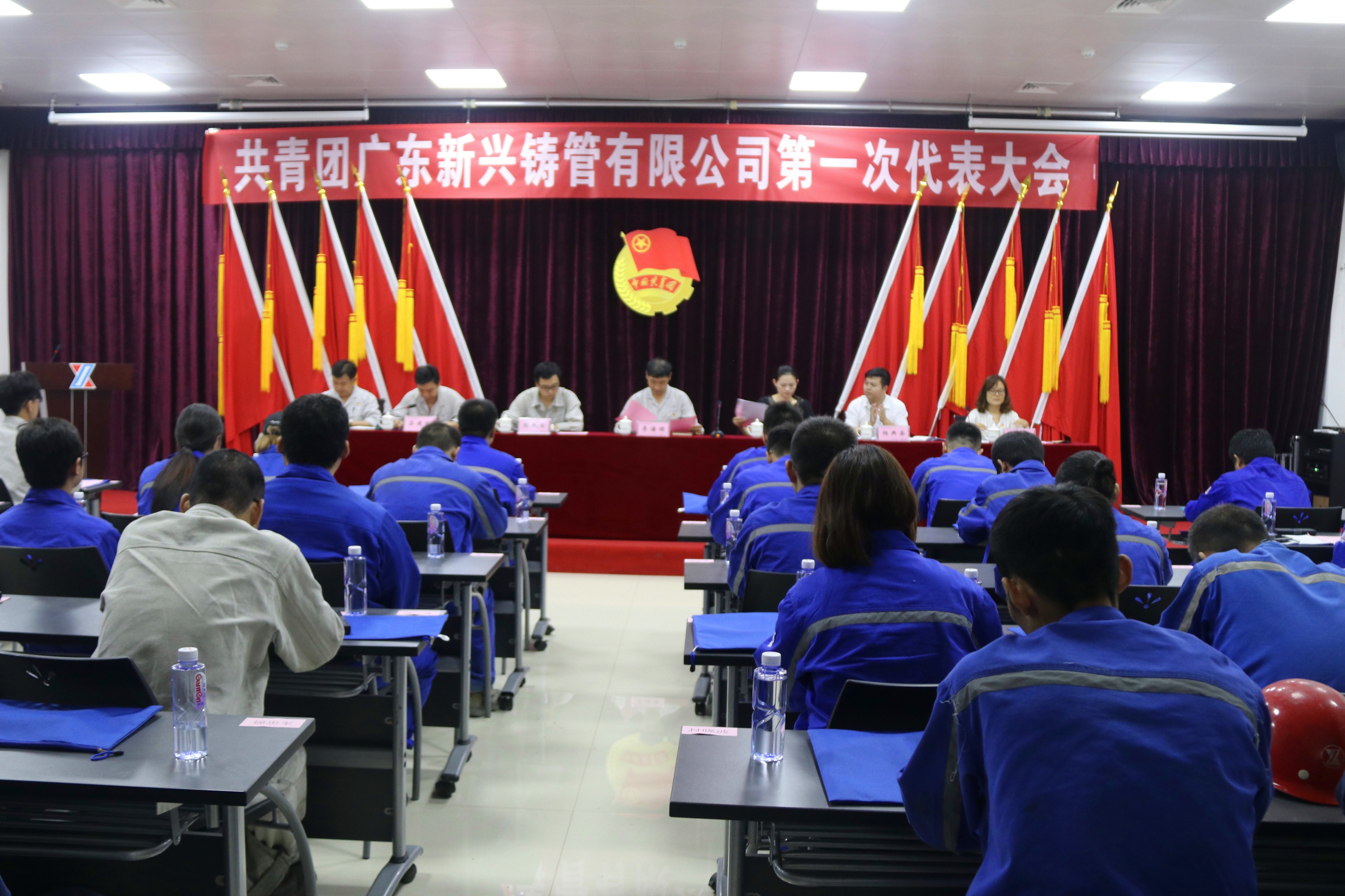 共青团广东新兴铸管有限公司第一次代表大会胜利召开