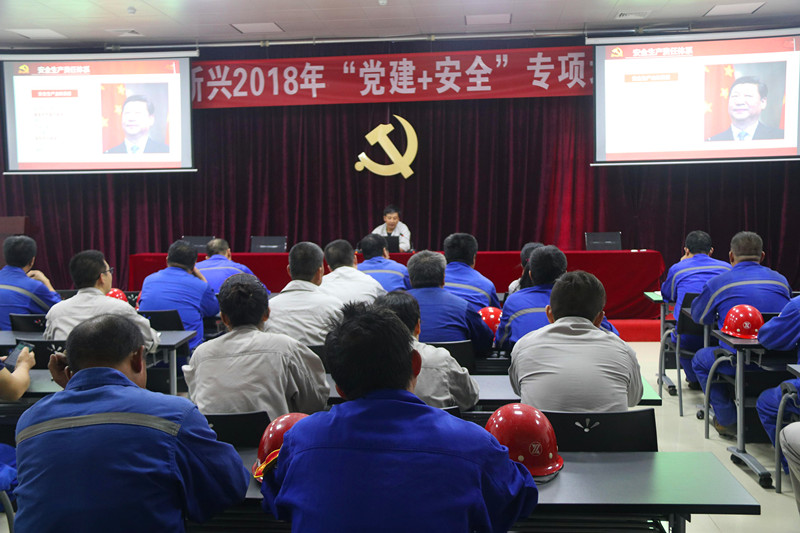 公司组织开展“党建+安全”专项培训