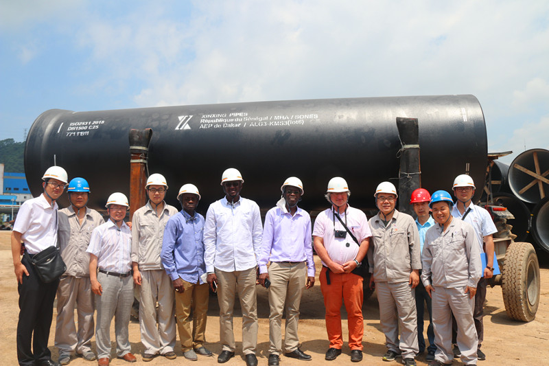 塞内加尔业主代表团审计广东新兴工厂｜质量认证全攻略