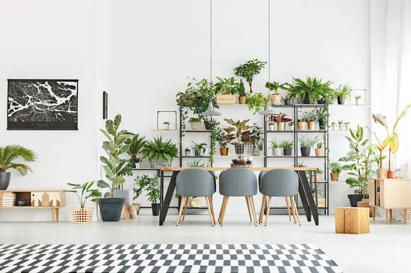 家用实木地板材质及安装方法解析(图1) 家用实木地板材质及安装方法解析