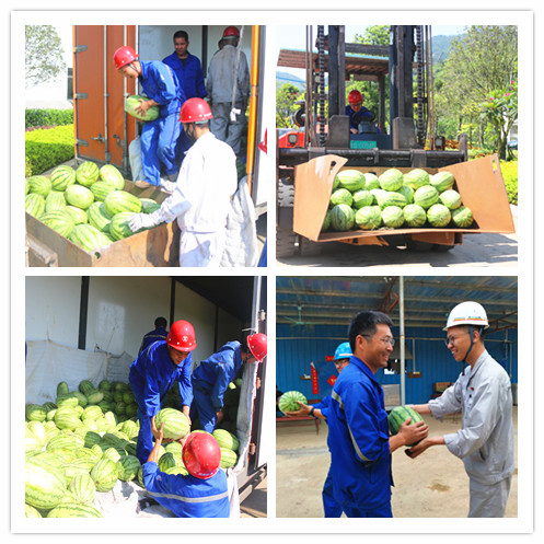 1563589639121779.jpg 003.jpg