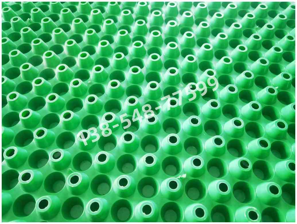 双面凹凸排水板(图3) 微信图片_20240620145758_副本.jpg