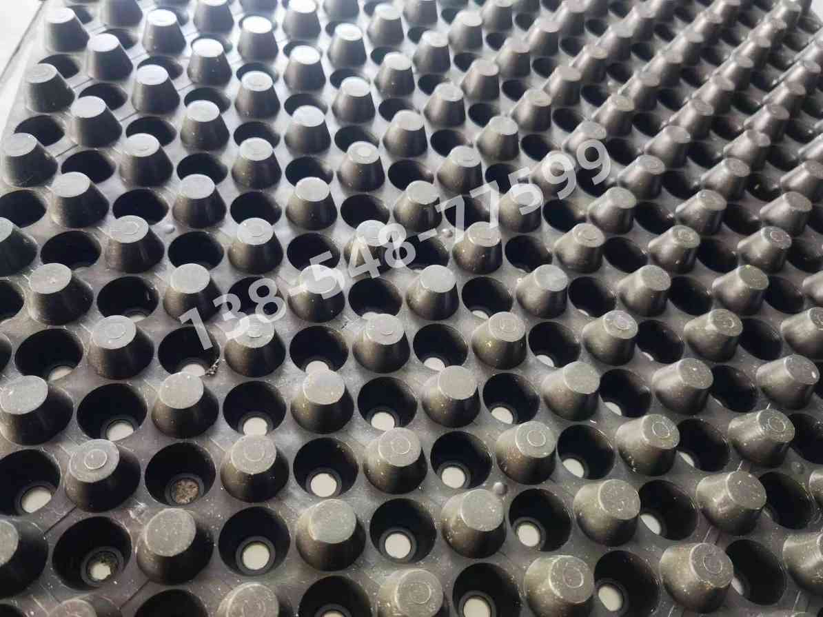 双面凹凸排水板(图1) 微信图片_20240620145753_副本.jpg