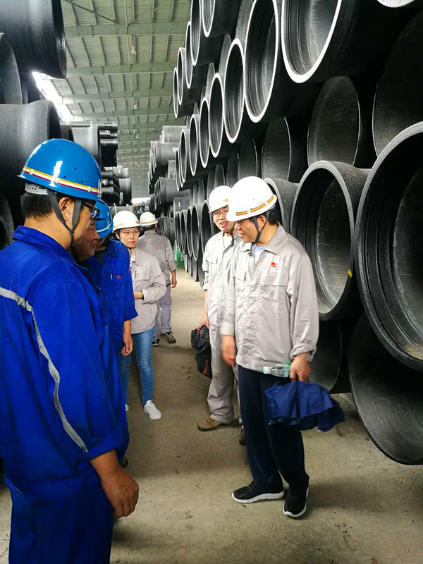 1559805198106529.jpg 微信图片_20190606145358_副本.jpg