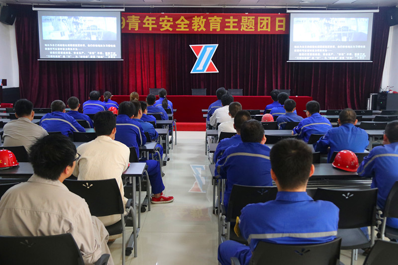 公司开展“青年安全教育“主题团日活动