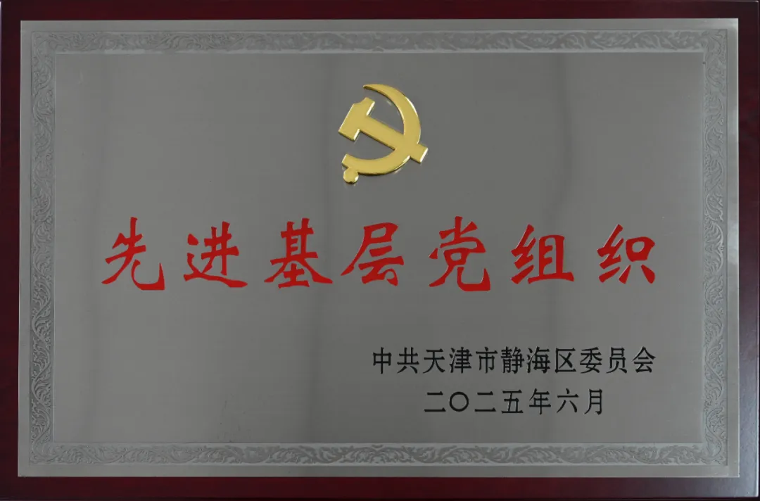 友发集团党委荣获“静海区先进基层党组织”荣誉称号(图1)