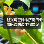 新兴铸管驰援济南传染病医院防疫工程建设(图2) 新兴铸管驰援济南传染病医院防疫工程建设(图2)