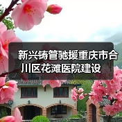 新兴铸管驰援重庆市合川区花滩医院建设(图3) 新兴铸管驰援重庆市合川区花滩医院建设(图3)