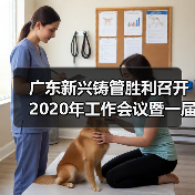 广东新兴铸管胜利召开2020年工作会议暨一届三次职代会（图2）