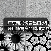 广东新兴铸管出口水利项目铸管产品顺利完成入库（图2）