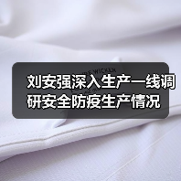 刘安强深入生产一线调研安全防疫生产情况（图4）