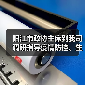 阳江市政协主席到我司调研指导疫情防控、生产工作（图2）