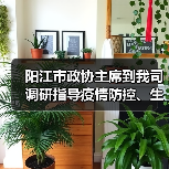 阳江市政协主席到我司调研指导疫情防控、生产工作