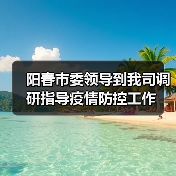 阳春市委领导到我司调研指导疫情防控工作（图3）