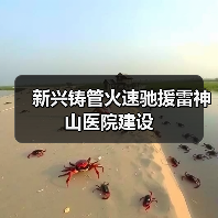 新兴铸管火速驰援雷神山医院建设（图4）