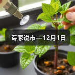 专家说市—12月1日（图2）
