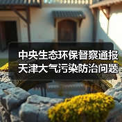 中央生态环保督察通报天津大气污染防治问题（图2）