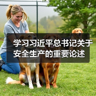 学习习近平总书记关于安全生产的重要论述（图4）