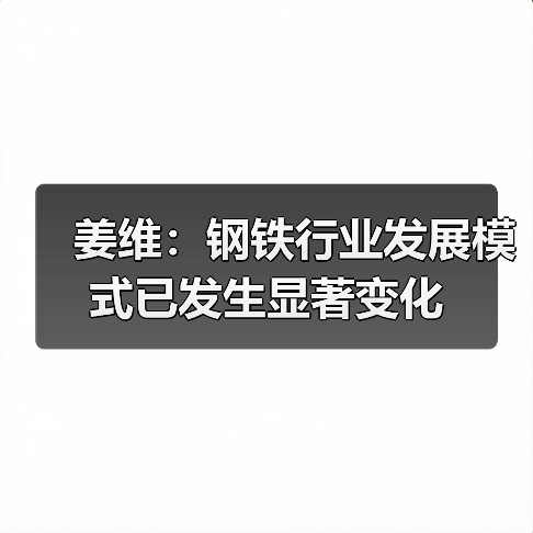 姜维：钢铁行业发展模式已发生显著变化（图4）
