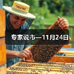 专家说市—11月24日（图3）