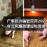 广东新兴铸管召开2022年党风廉政建设和反腐败工作会议（图2）