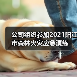 公司组织参加2021阳江市森林火灾应急演练（图2）