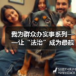 我为群众办实事系列——让“法治”成为最靓丽的底色(图3) 我为群众办实事系列——让“法治”成为最靓丽的底色(图3)