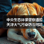 中央生态环保督察通报天津大气污染防治问题