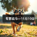 专家说市—11月10日（图3）
