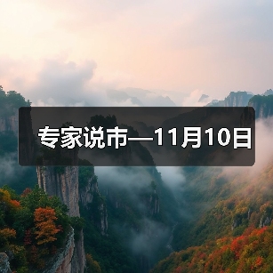 专家说市—11月10日