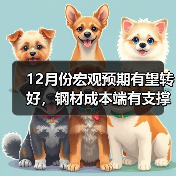12月份宏观预期有望转好，钢材成本端有支撑（图3）
