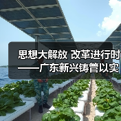 思想大解放 改革进行时——广东新兴铸管以实践检验讨论成果(图3) 思想大解放 改革进行时——广东新兴铸管以实践检验讨论成果(图3)