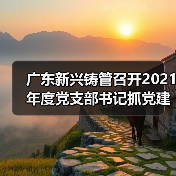 广东新兴铸管召开2021年度党支部书记抓党建述职评议考核会议(图2) 广东新兴铸管召开2021年度党支部书记抓党建述职评议考核会议(图2)
