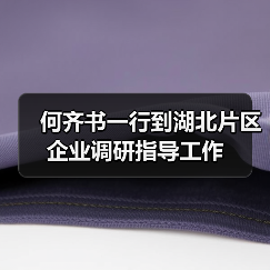 何齐书一行到湖北片区企业调研指导工作