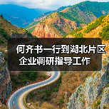 何齐书一行到湖北片区企业调研指导工作(图2) 何齐书一行到湖北片区企业调研指导工作(图2)