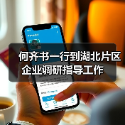 何齐书一行到湖北片区企业调研指导工作(图4) 何齐书一行到湖北片区企业调研指导工作(图4)