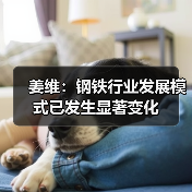姜维：钢铁行业发展模式已发生显著变化