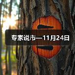 专家说市—11月24日（图2）