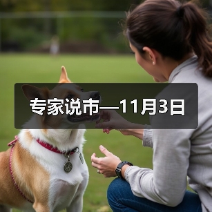 专家说市—11月3日（图2）