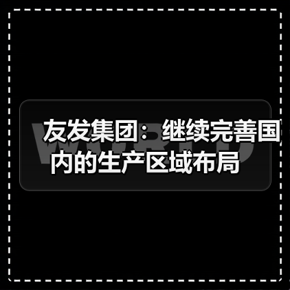 友发集团：继续完善国内的生产区域布局（图4）