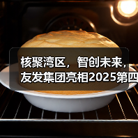 核聚湾区，智创未来，友发集团亮相2025第四届中国核能高质量发展大会引关注