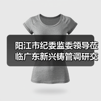 阳江市纪委监委领导莅临广东新兴铸管调研交流（图4）