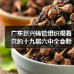 广东新兴铸管组织观看党的十九届六中全会新闻发布会实况（图4）
