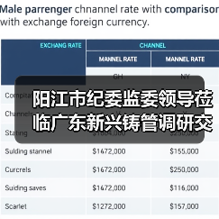 阳江市纪委监委领导莅临广东新兴铸管调研交流（图2）