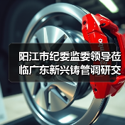 阳江市纪委监委领导莅临广东新兴铸管调研交流（图3）
